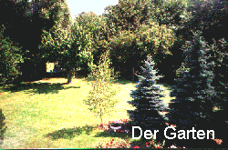 Der Garten